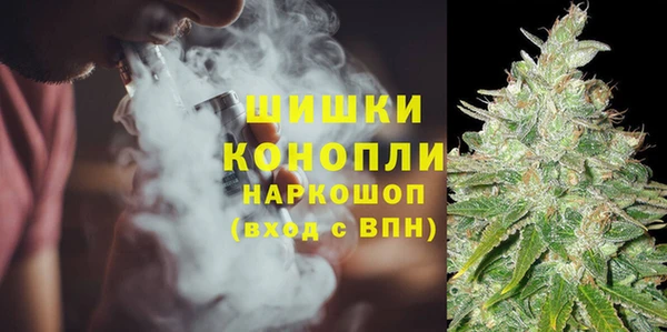 прущая мука Богданович